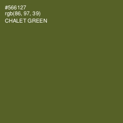 #566127 - Chalet Green Color Image